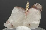 Stunning, Native Gold Formation in Quartz - Morocco #213548-2